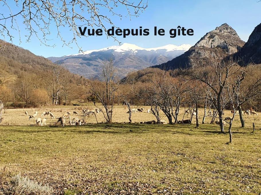 Grange En Pierres. Grand Jardin Et Belle Vue Villa Saurat Exterior photo